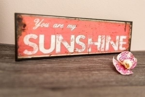 Metallschild You are my sunshine