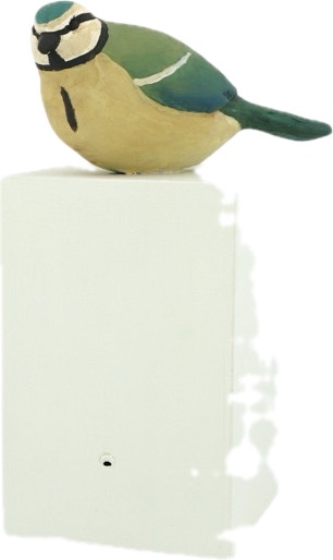 SINGBIRD – Die Zwitscherbox für leise Willkommensmomente / Farbvariante 2